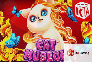 Cat Museum