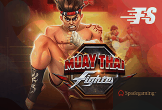 Muay Thai Fighter